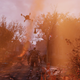 Illustration for article titled Fallout 76 Players Are Looking For Secrets Off The Game's Beaten Path